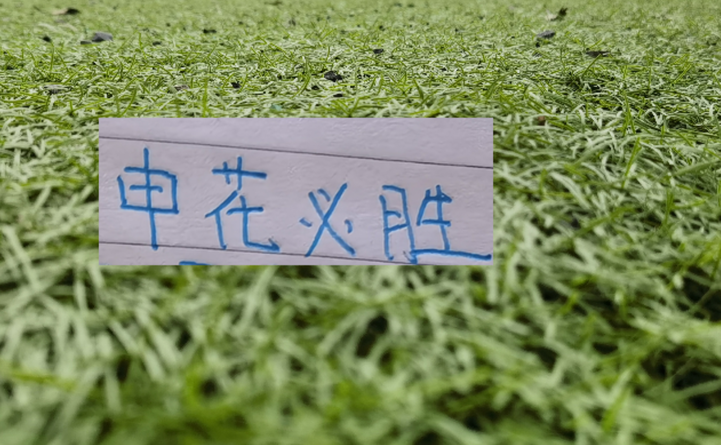 大发彩票app下载-第8轮中超未扣分纯净版！可能才是申花球迷最想要积分榜